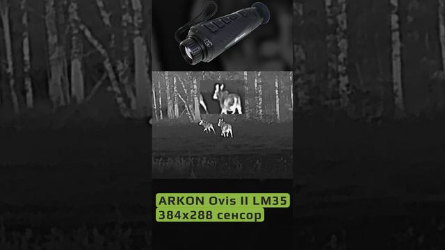 Лоси, кабан секач на Arkon Ovis II LM35