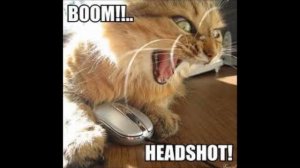 Headshot Sound Effect. HD