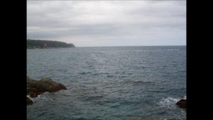 А . Болотов "Настроение" Исп. Максим Козуб