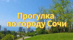 Прогулка по городу Сочи. Природа в Сочи.