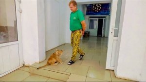 УРА!!! Покалеченный львенок не только ПОБЕЖАЛ к Олегу Зубкову, но ПОДНЯЛСЯ на высокую ступеньку!