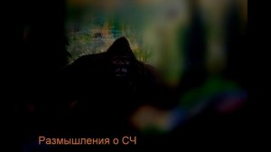 Размышление о СЧ