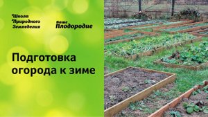 Подготовка огорода к зиме, сидераты, теплые грядки