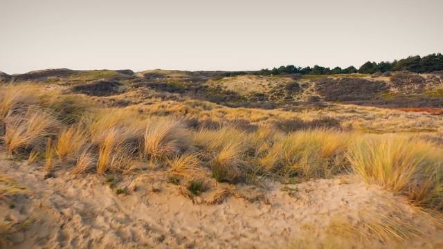 D-Block & S-te-Fan - New Year's Day смотреть онлайн