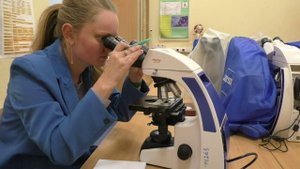 Биопрактикум_2024_видеозадание Микроскоп