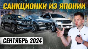 Топ санкционных автомобилей из Японии 🚗✨Что выбирают в сентябре 2024?