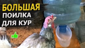 ПРОСТАЯ ПОИЛКА ДЛЯ КУР 🐔 Как легко сделать своими руками из подручных материалов 👍