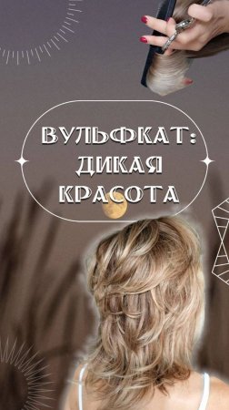 Стрижка Вульфкат: дикая красота 🐺