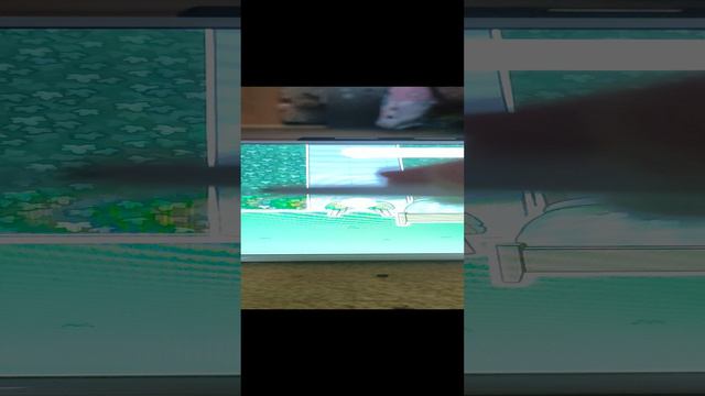 24 часа в зелёном цвете.