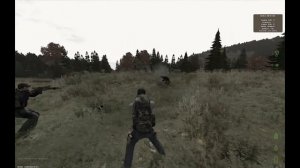 ARMA II DayZ Mod - Pt. 2: Getting Overrun and the Final Decision