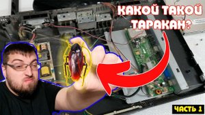 Как забрать телевизор без ремонта и с тараканами из мастерской?