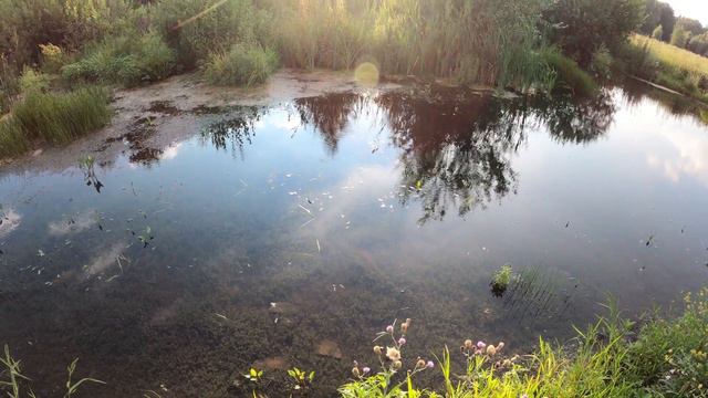 Suzuki Djebel 200. Июльские зарисовки. 31.07.2022 г.