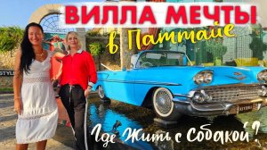 Купить Квартиру или Виллу в Паттайе. Куда Пустят с Питомцами?