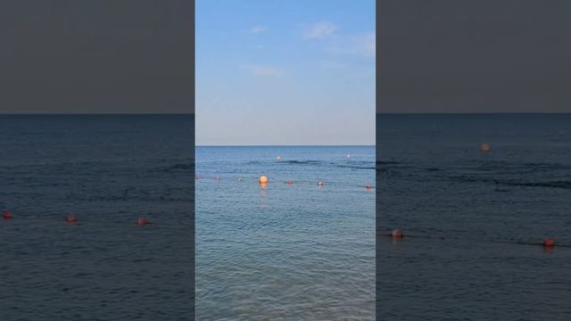 Дельфины прям у берега в Анапе #анапа #море #анапасегодня #анапапляжи