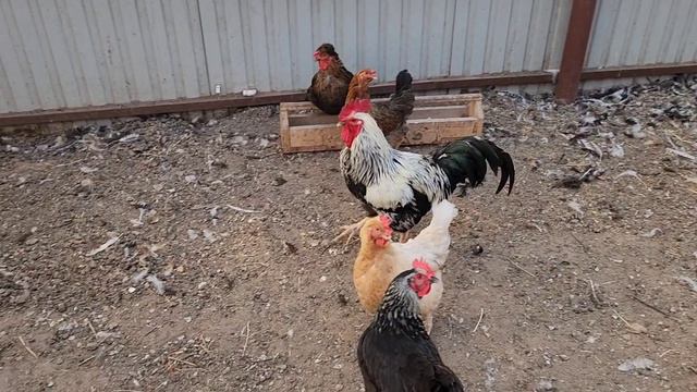 Накануне праздника. Зефирные грибы.