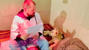 Друзья, из Москвы пришли анализы  маленькой львицы!