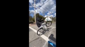 MAFIA BOMMA 27.5 CLIPS