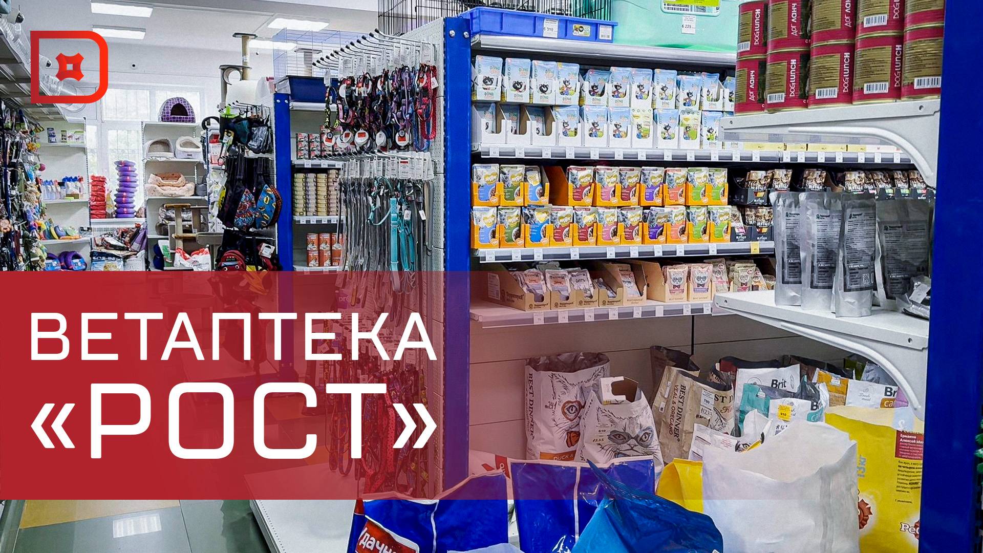 В Махачкале прошел обучающий семинар по применению современных препаратов в ветеринарии