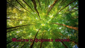 О формах жизни