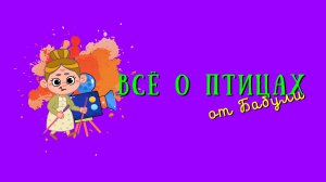 Всё о птицах для детей и их родителей. Птичник в парке на Елагином острове