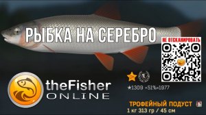 Fisher Online - Рыбка на СЕРЕБРО #14