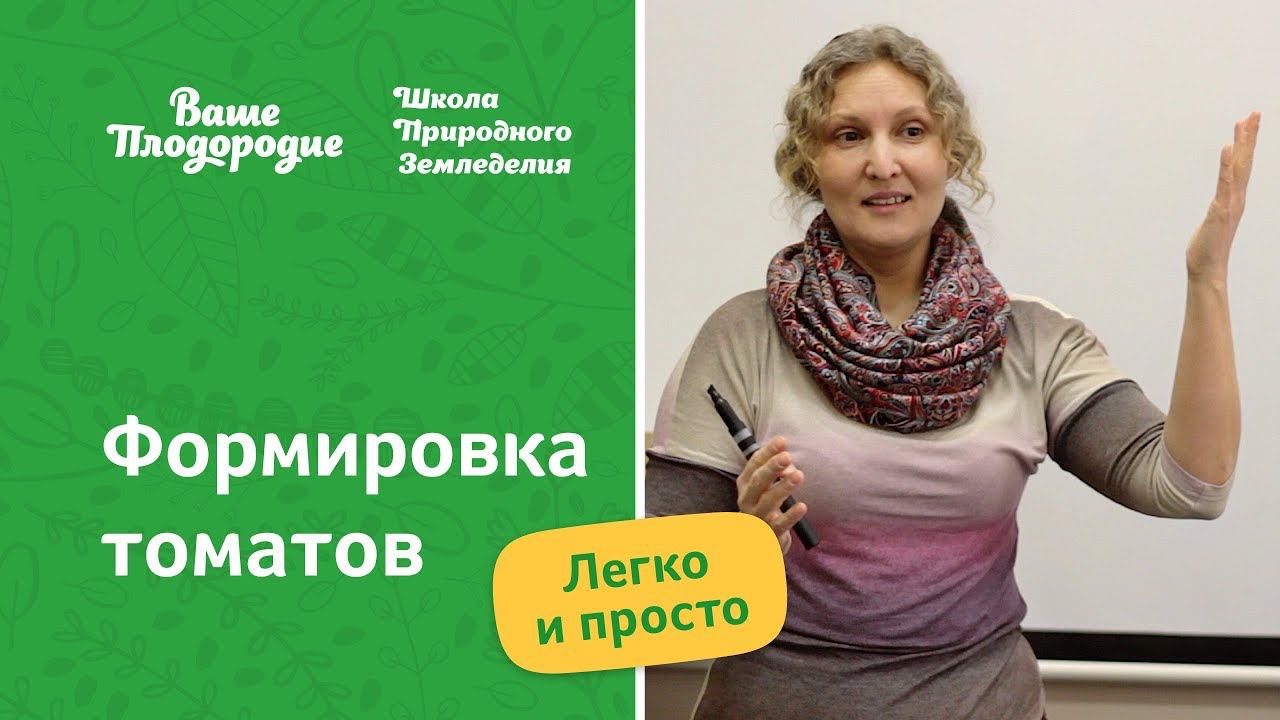 Формировка томатов — легко и просто смотреть онлайн