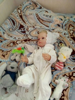 вечер с реборном девочки дерутся??.