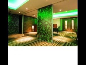 Межкомнатные перегородки. Несколько идей