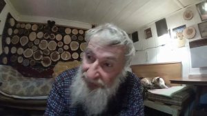 Собачьи мышлишки