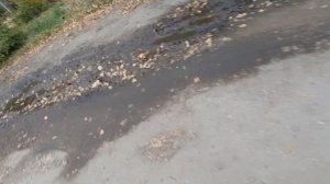 Рубцовск.Прогулка по улицам города №3.😊