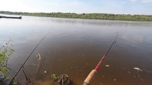 Рыбалка на Оке! ЛОВИМ ЛЕЩА! АЖ СПИННИНГ ЛОМАЕТСЯ! По две рыбы за раз!
