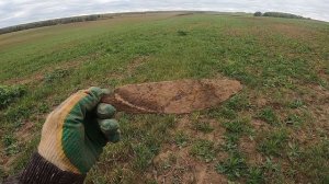 осень 🍁 осень всё равно копать не бросим