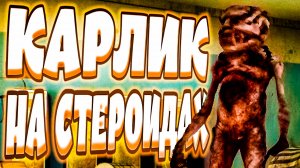 КАРЛИКИ НА СТЕРОИДАХ - VLADiK_BRUTAL (угар, приколы, фейлы)