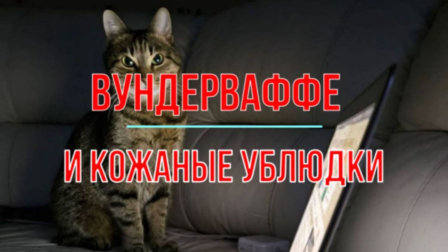 Вундерваффе и кожаные ублюдки