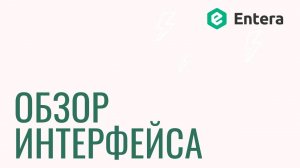 Сервис Entera –Интерфейс сервиса распознавания первички