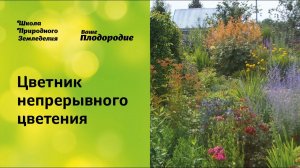 Цветник непрерывного цветения. Легко и просто