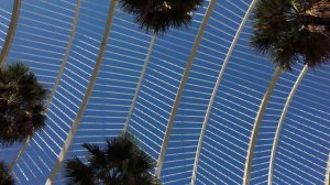 Last Two Survivors In Valencia  - City Of Arts And Sciences - Empty City / NoPeople