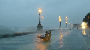 Летний ДОЖДЬ. Клип