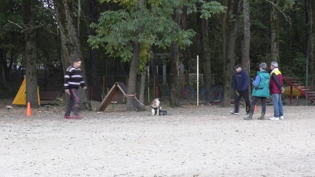 ЗКС_Петровский Талисман Барселона