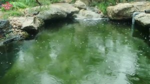 Мне так тепло с тобой 1 сезон 25 серия