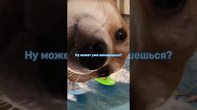 Эй, бро! 👋 Чего ты медлишь?