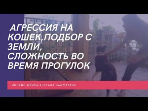 До/после обучения в Школе Антуана Наджаряна