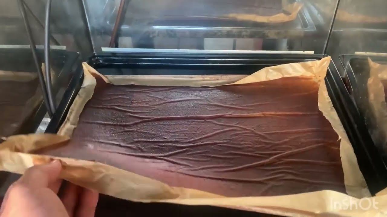 Пастила из яблок в коптильне Астра 220 УПК смотреть онлайн