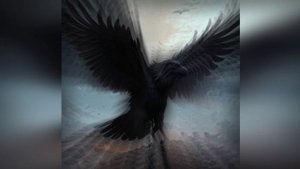 Чёрный ворон ( кавер)