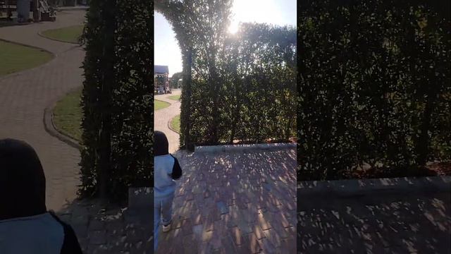 Misra.ah Abdali farm vlog 2k24 смотреть онлайн