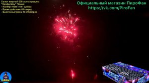 C20814XPR14 салют 208 залпов, фейерверк Profi show 208 (Чехия)