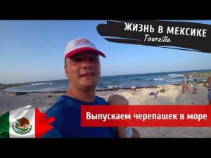 Жизнь в Мексике. Выпускаем черепашек в море. Сколько яиц в кладке и сколько черепах выживет?