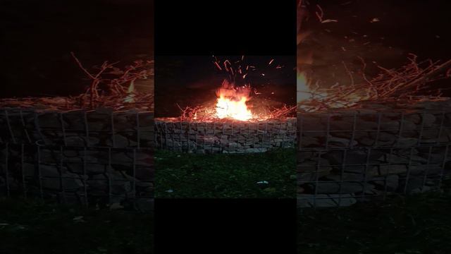 1000004879.mp4