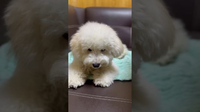 Ей все можно