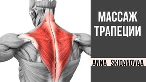 Массаж трапеции
